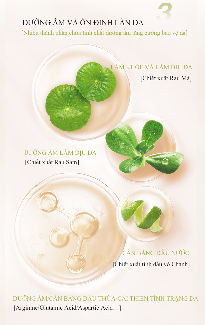 icesea罗马洋甘菊舒润洁面乳详情（已排版）_06.jpg