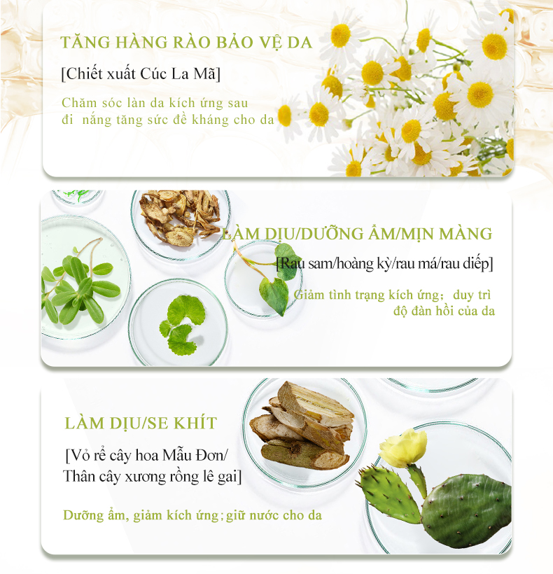 icesea罗马洋甘菊舒缓柔护精华液详情-(已排版)_07.jpg